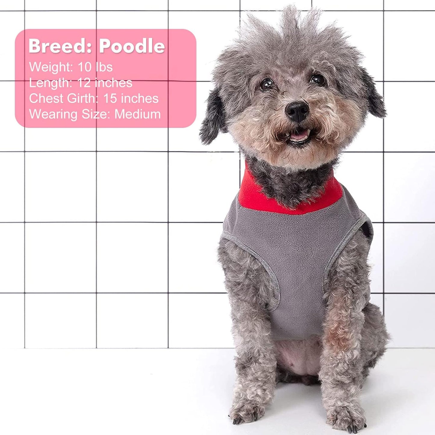 Cozy 2-Pack Dog Fleece Sweaters with Reflective Stripes - Soft Pullovers for Small Dogs in Red & Grey